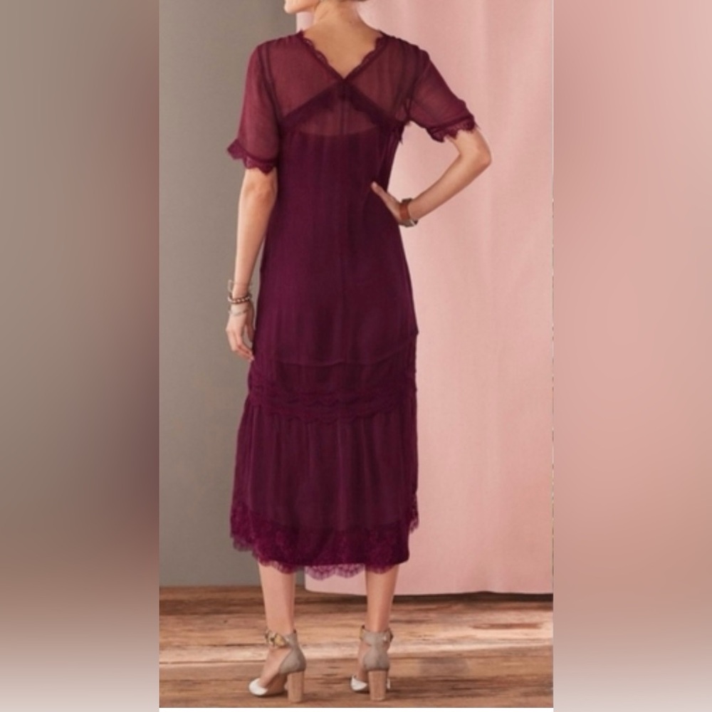 Elegant Lace Dress